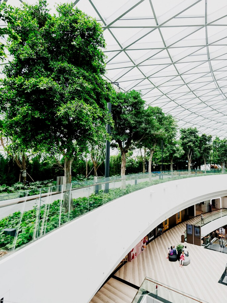 Artificial Plant Solution for Retail & Chain Stores-02.jpg